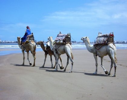 Morocco Family tour