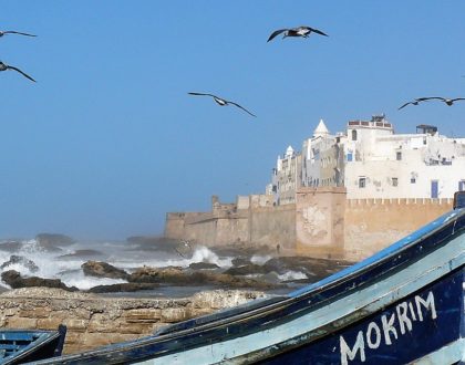 Excursion to Essaouira